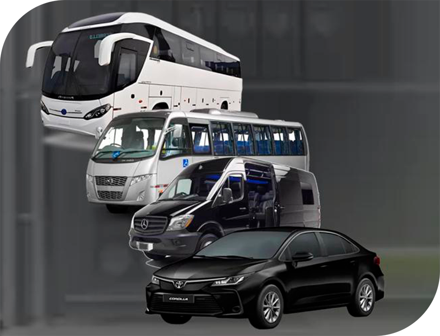 imagem intro mz transportes